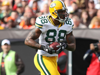 Jermichael Finley